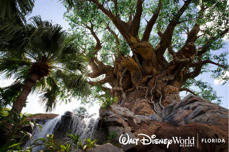 Disney's Animal Kingdom