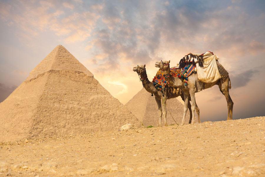 Recorra Egipto con Aviatur